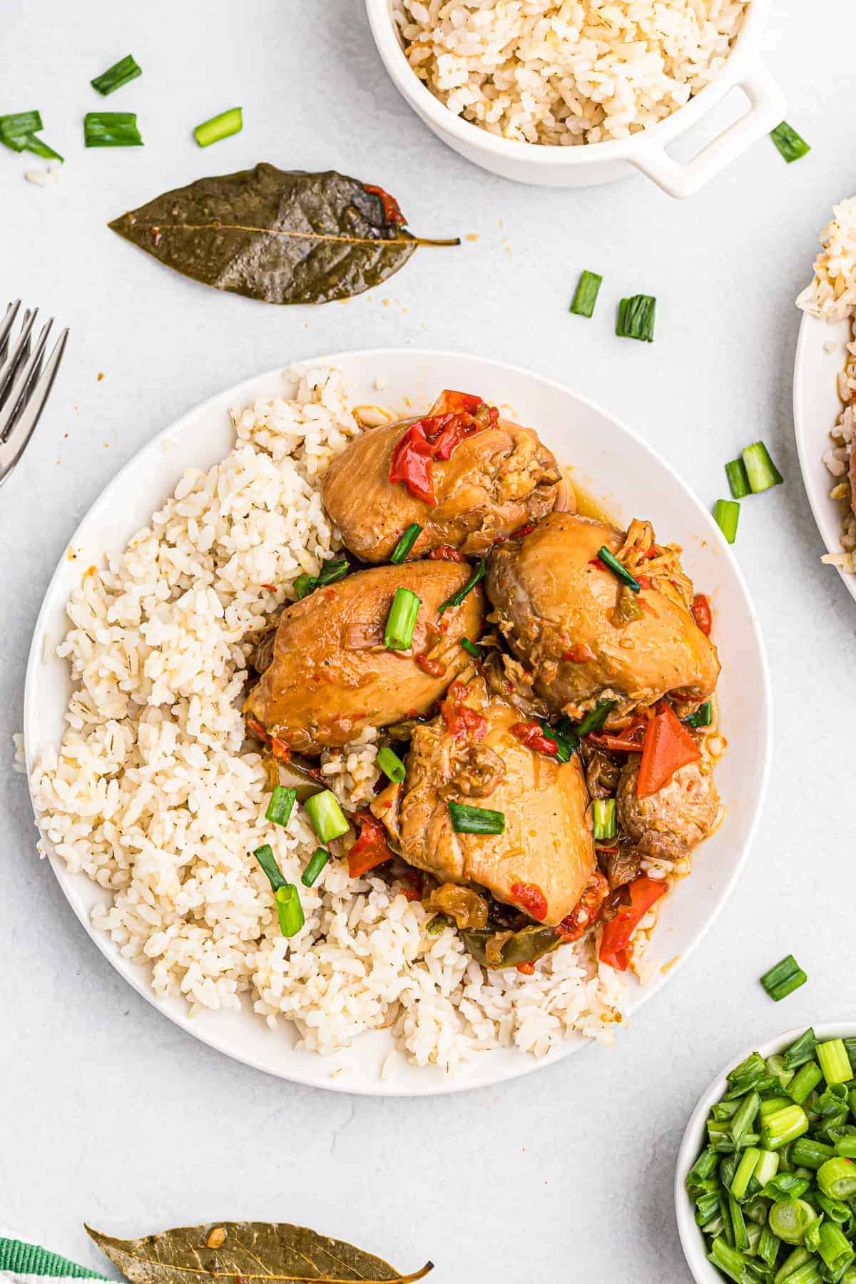 instant pot chicken adobo with rice on plate