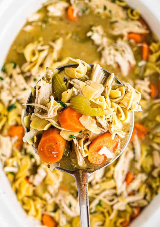ladle in crockpot of chicken noodle soup