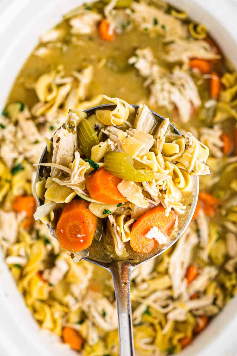 ladle in crockpot of chicken noodle soup