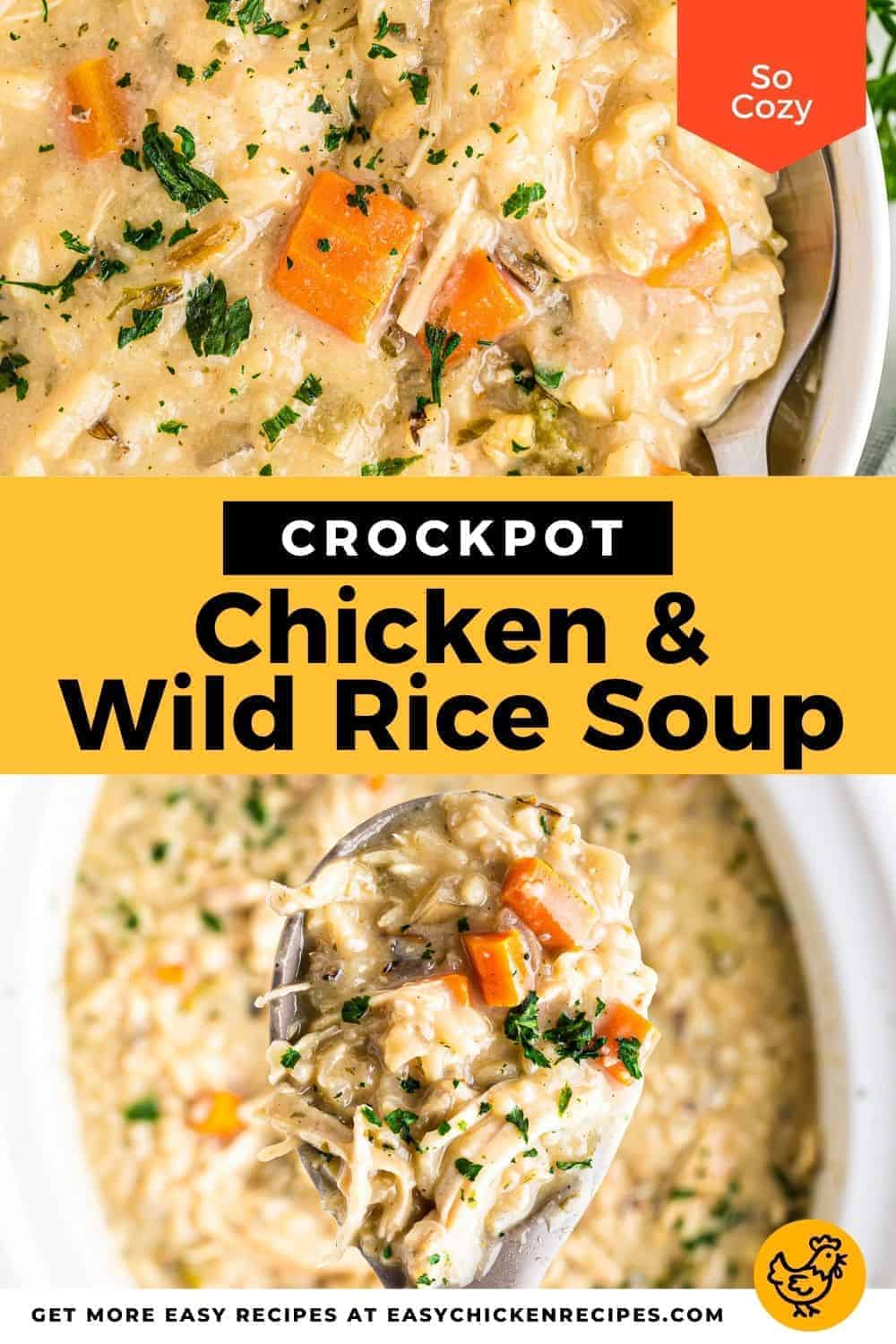 Crockpot Chicken Wild Rice Soup - Easy Chicken Recipes