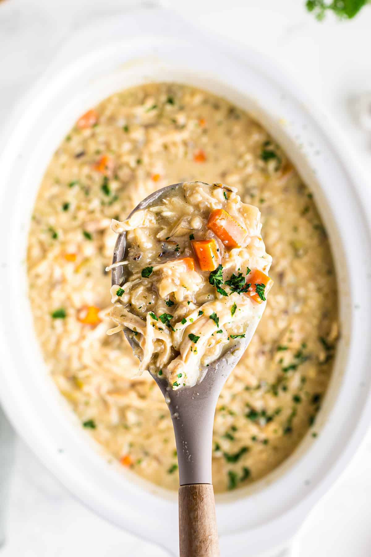 Crockpot Chicken Wild Rice Soup - Easy Chicken Recipes