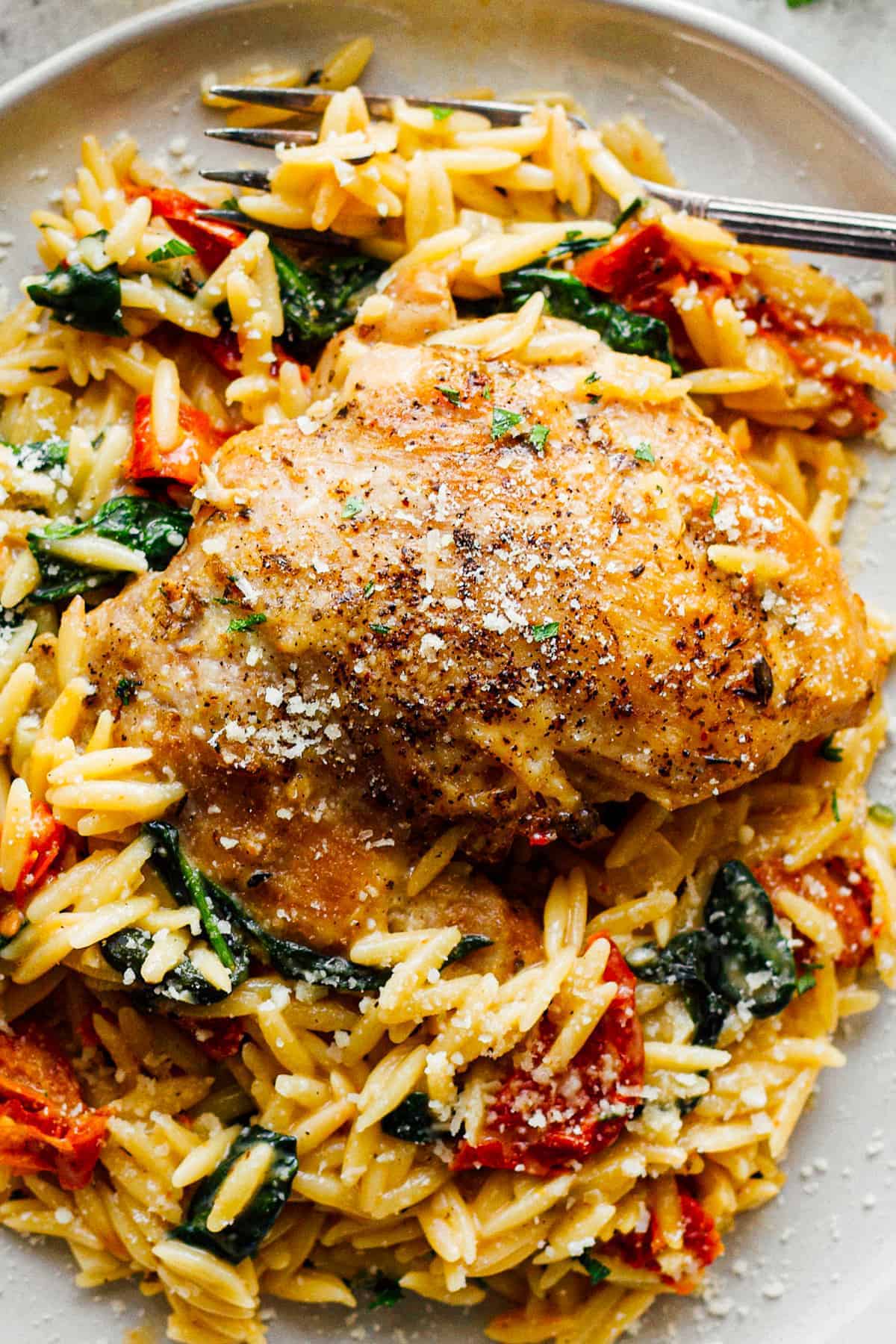 Tuscan Chicken and Orzo - Easy Chicken Recipes
