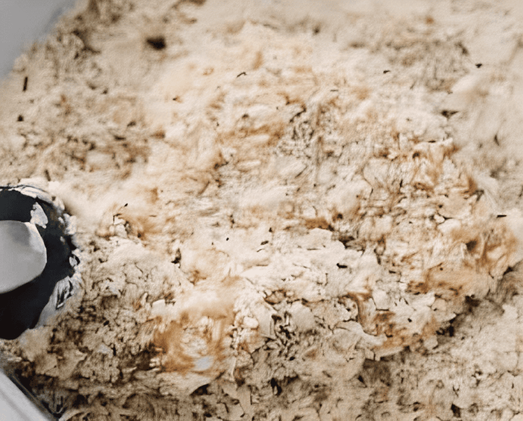 coating a chicken thigh in breadcrumbs.