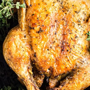 up close air fryer whole chicken in instant pot with herbs