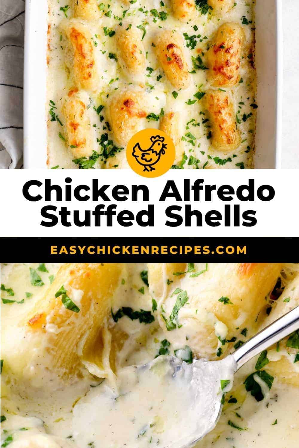 Chicken Alfredo Stuffed Shells Easy Chicken Recipes