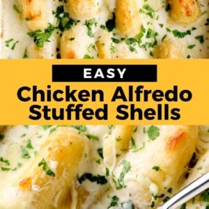 chicken alfredo stuffed shells pinterest collage