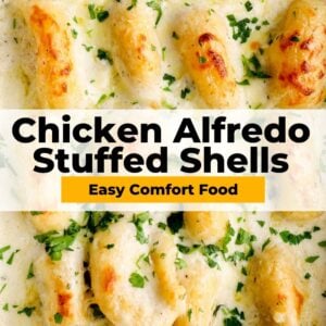 chicken alfredo stuffed shells pinterest collage