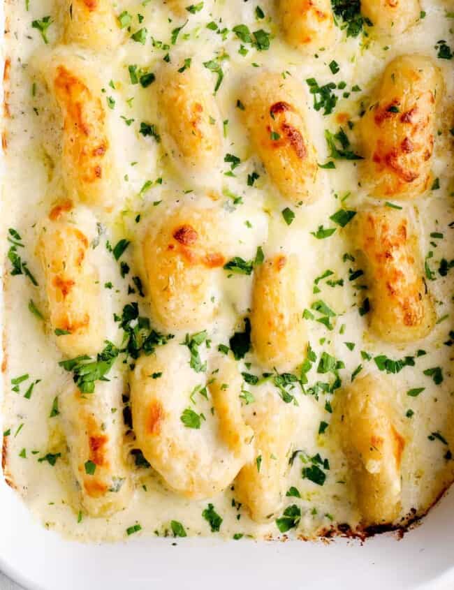 chicken alfredo stuffed shells in casserole dish