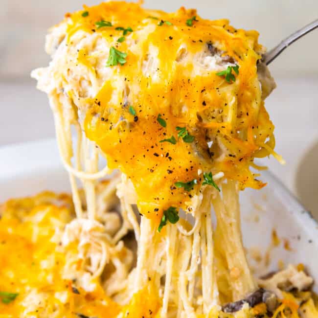 lifting up spoonful of cheesy chicken tetrazzini