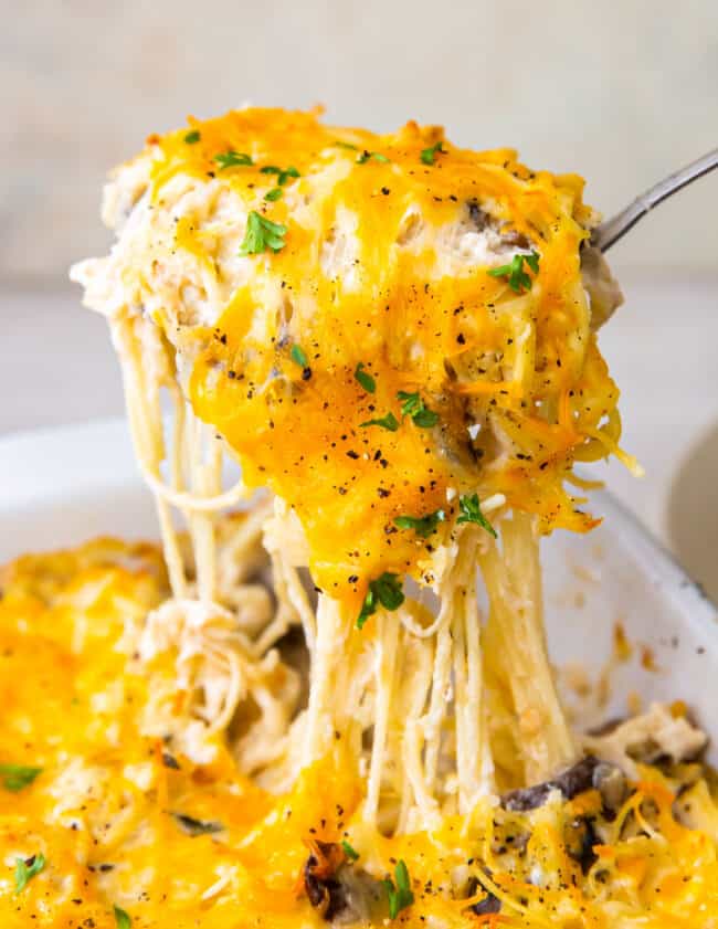 lifting up spoonful of cheesy chicken tetrazzini