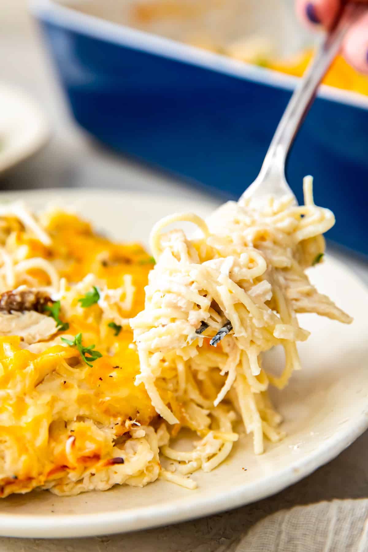 Chicken Tetrazzini Easy Chicken Recipes