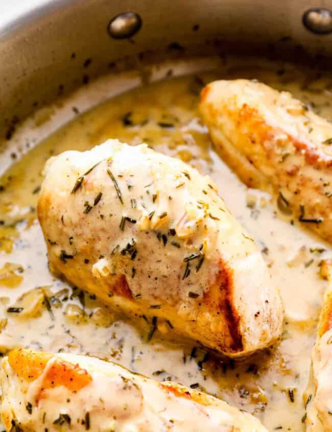 side shot of creamy rosemary chicken