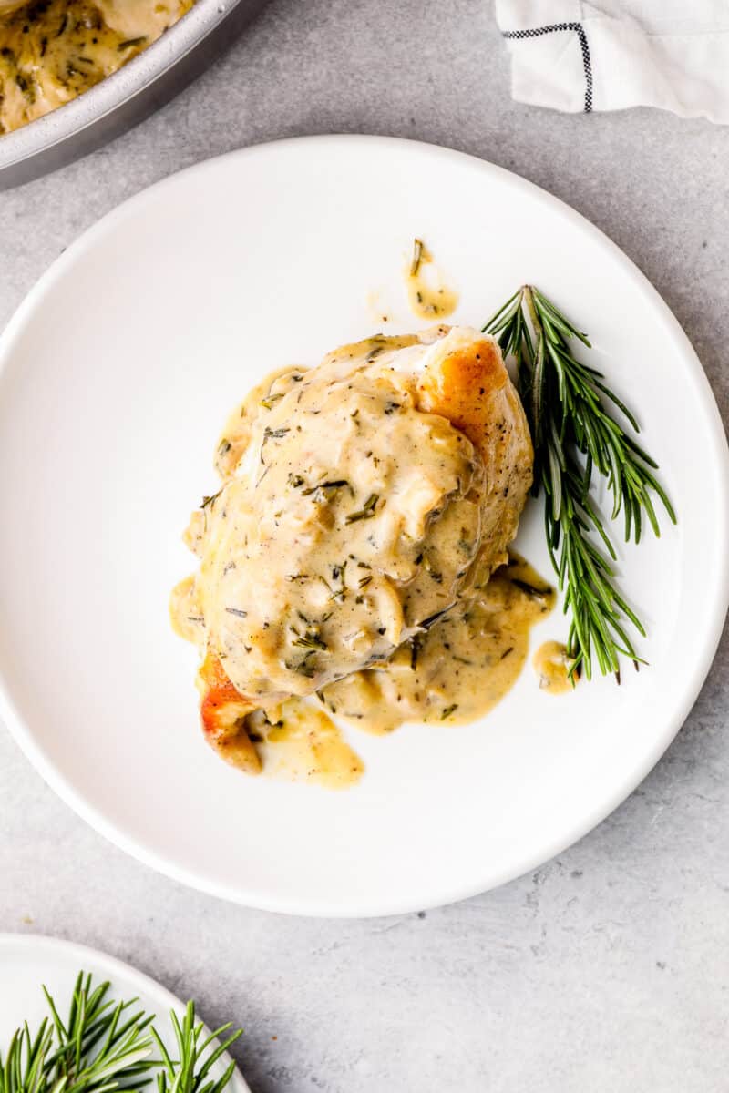 plate with rosemary chicken with cream sauce
