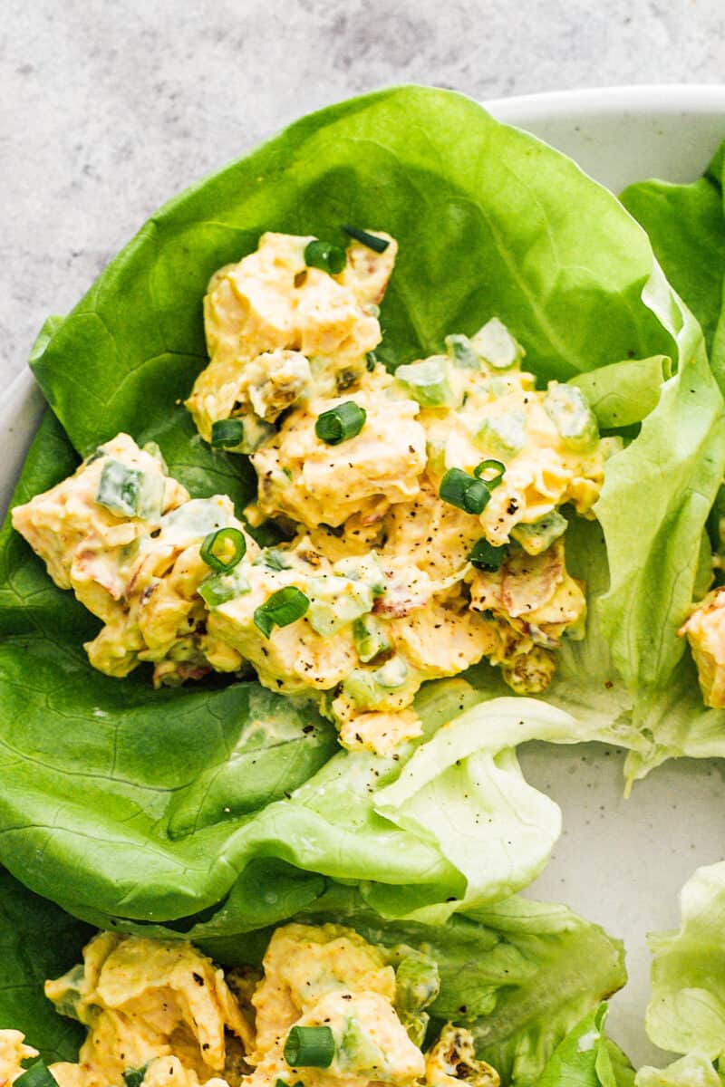 curried chicken salad lettuce wraps