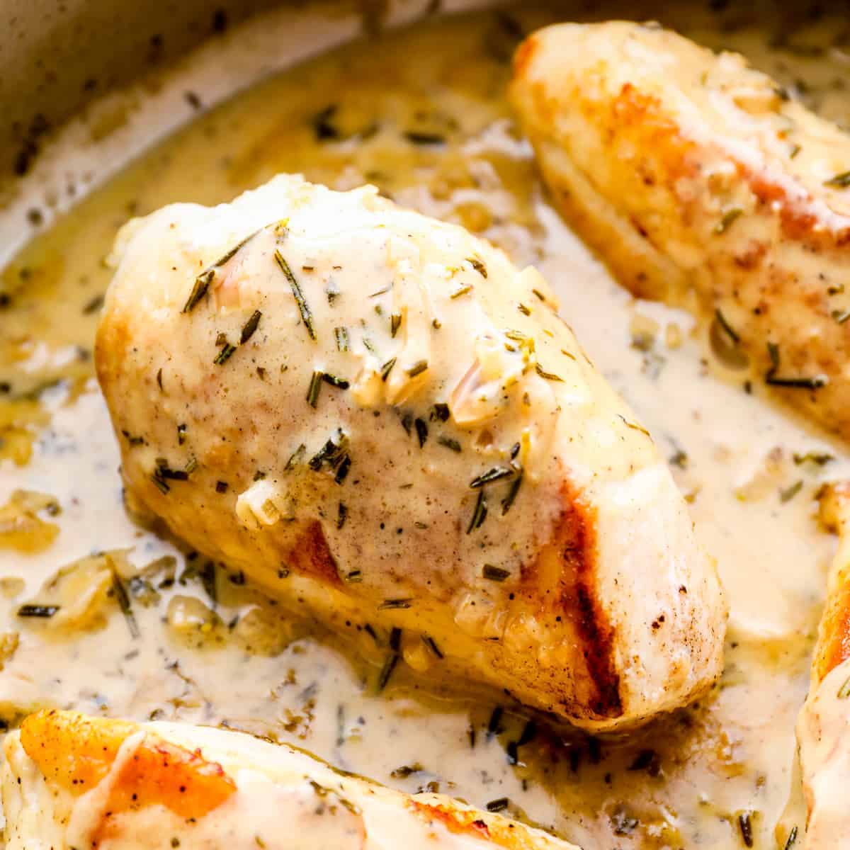 Creamy Rosemary Chicken Easy Chicken Recipes 5689