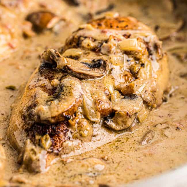 chicken breasts smothered in mushrooms, cheese, onions, and sauce