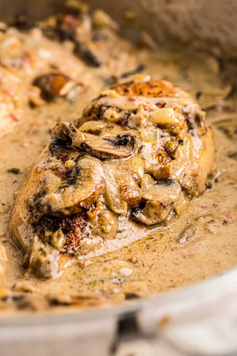 chicken breasts smothered in mushrooms, cheese, onions, and sauce