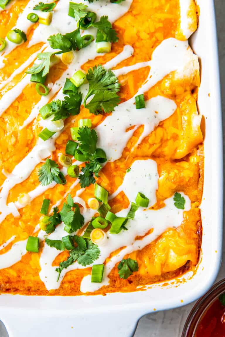 Buffalo Chicken Enchiladas Easy Chicken Recipes