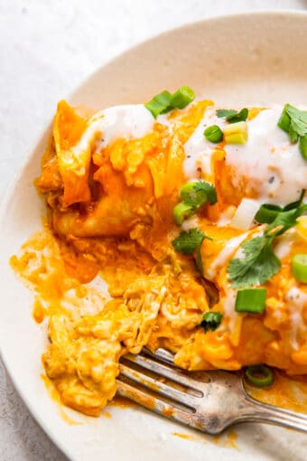 Buffalo Chicken Enchiladas - Easy Chicken Recipes