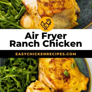 air fryer ranch chicken pinterest