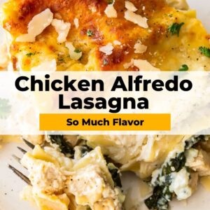 chicken alfredo lasagna pinterest