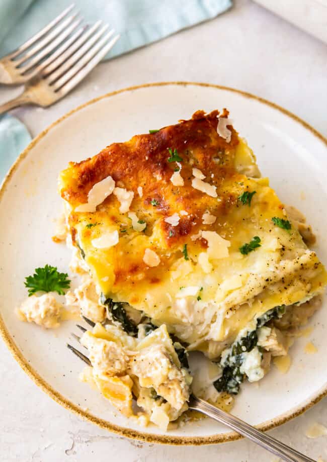 bite out of slice of chicken alfredo lasagna on white plate