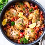 featured chicken provencal