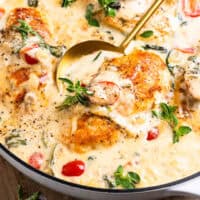 closeup of a skillet full of tuscan chicken with spoon.