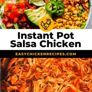instant pot salsa chicken pinterest