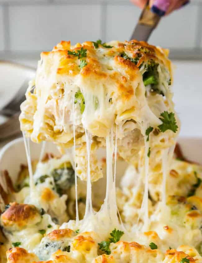 spoonful of cheesy broccoli chicken alfredo