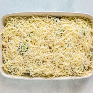 how to make broccoli chicken alfredo