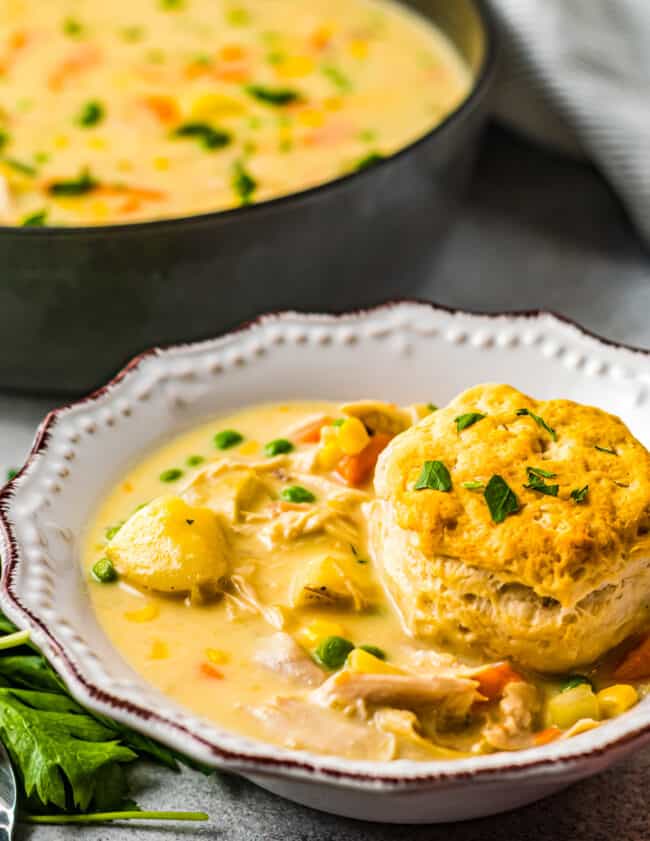 bowl of chicken pot pie soup with biscuit