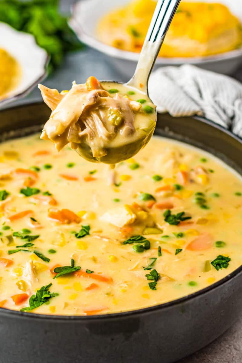 ladle lifting up chicken pot pie soup