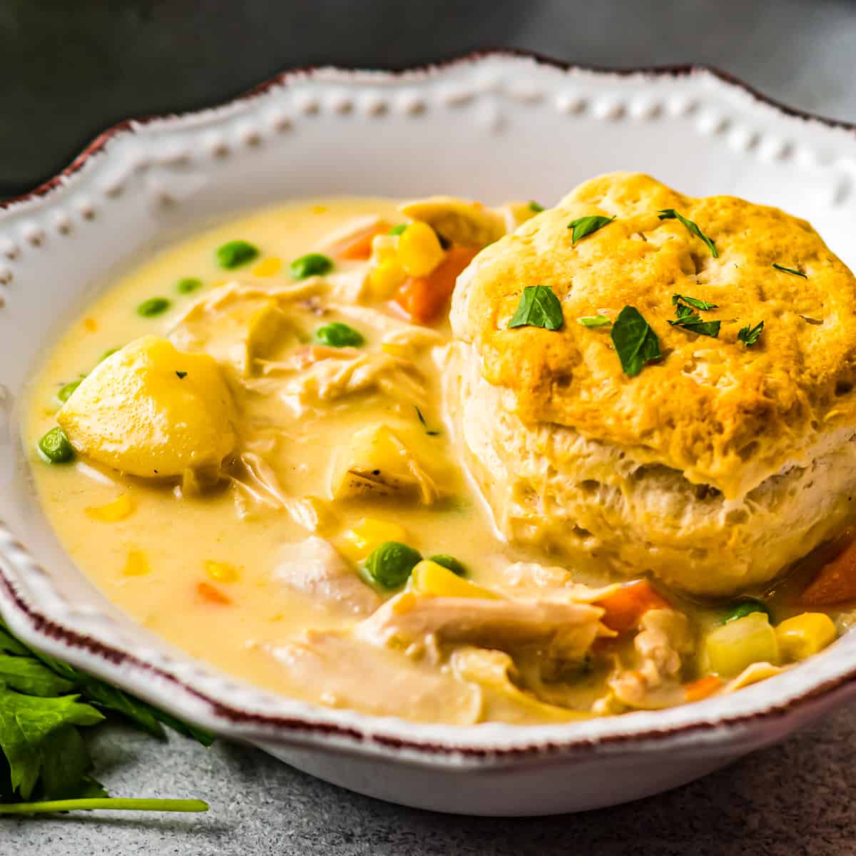 https://easychickenrecipes.com/wp-content/uploads/2021/08/featured-chicken-pot-pie-soup-recipe.jpg