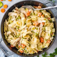 overhead dutch oven filled with chicken and noodles
