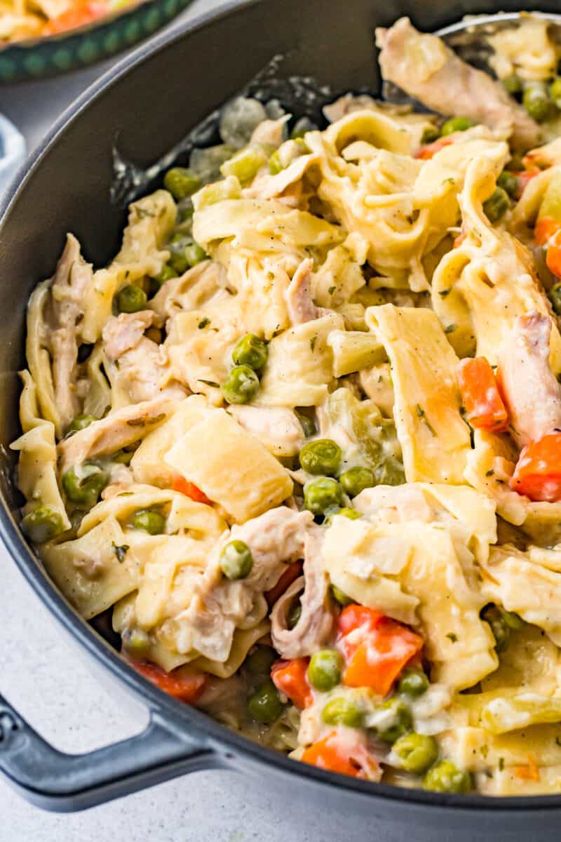 dutch oven filled with chicken and noodles
