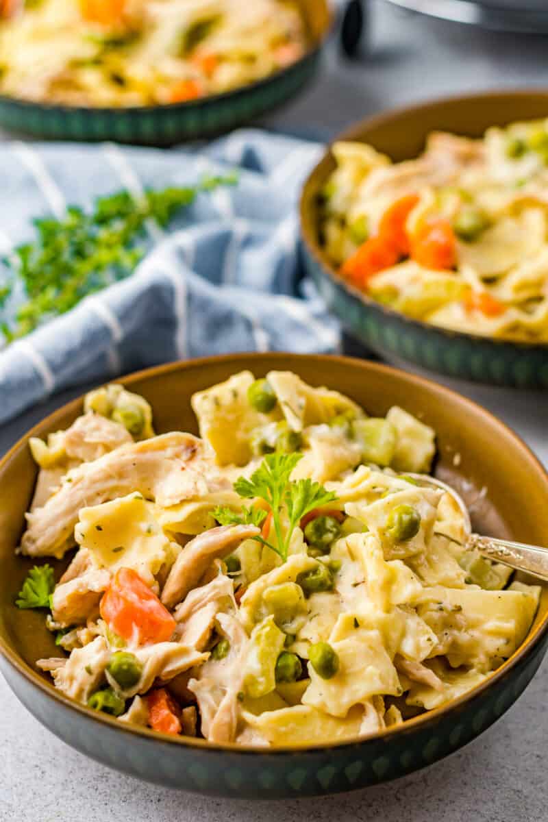 bowls with chicken and noodles
