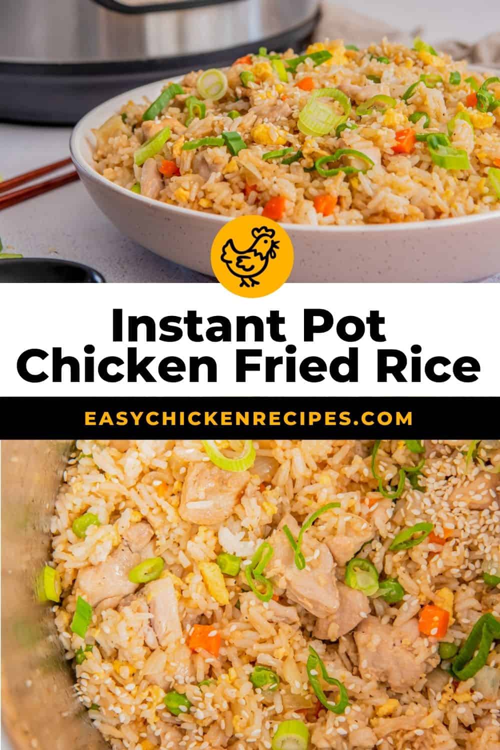 Instant Pot Chicken Fried Rice - Easy Chicken Recipes