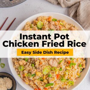 instant pot chicken fried rice pinterest