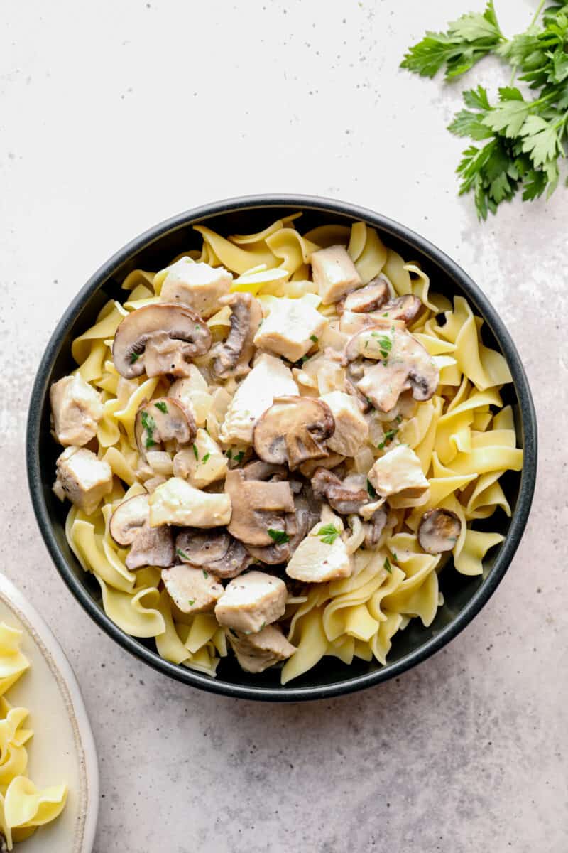 chicken stroganoff with egg noodles in a black bowl