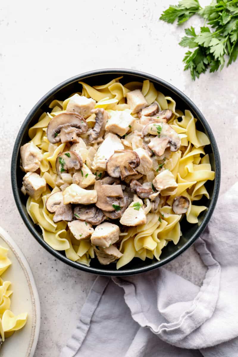 chicken stroganoff with egg noodles in a black bowl