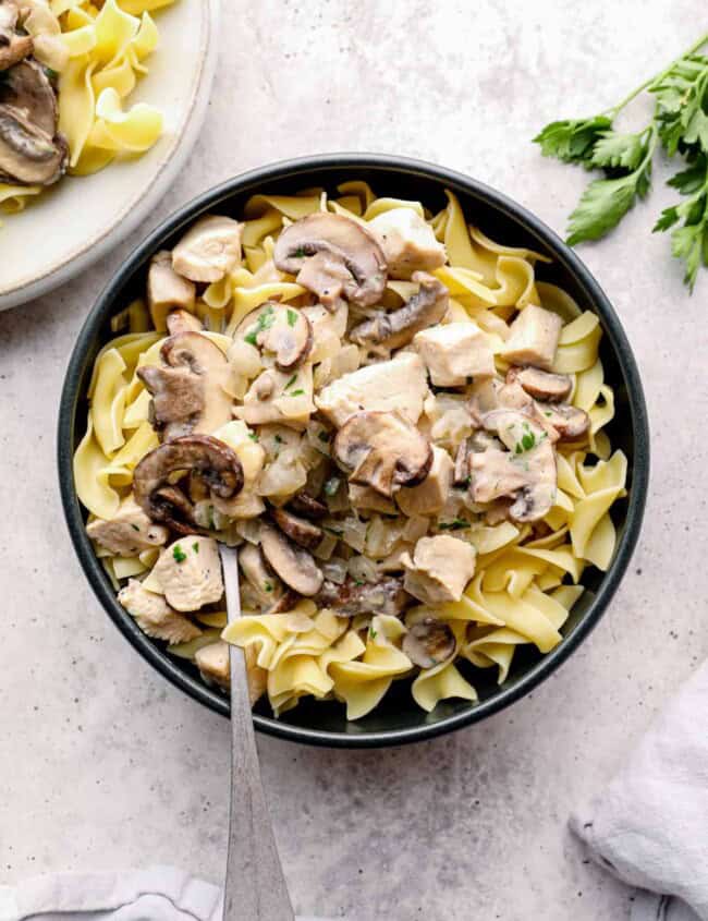 chicken stroganoff with egg noodles in a black bowl with a fork