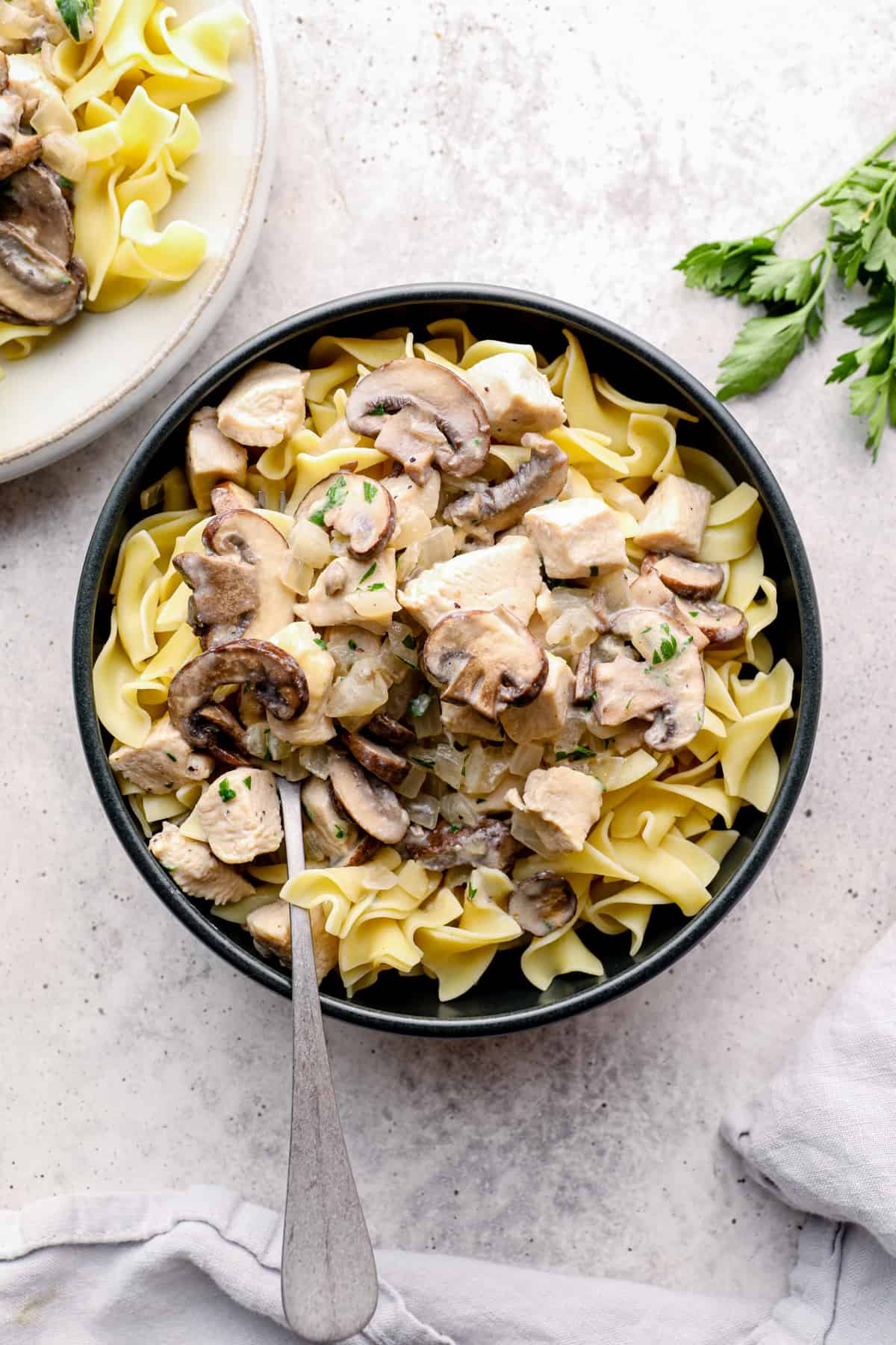 chicken stroganoff with egg noodles in a black bowl with a fork