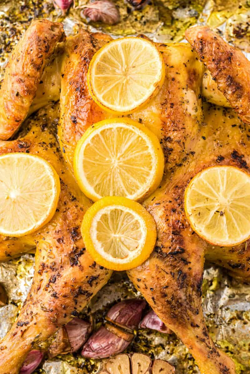 lemon garlic spatchcock chicken after cooking