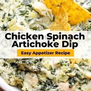 chicken spinach artichoke dip pinterest