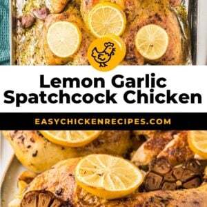 lemon garlic spatchcock chicken pinterest