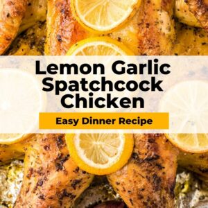 lemon garlic spatchcock chicken pinterest