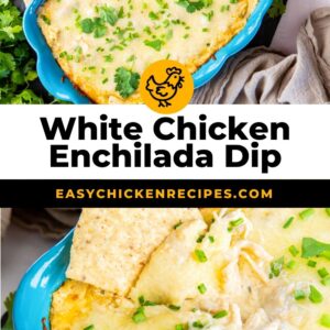 white chicken enchilada dip pinterest