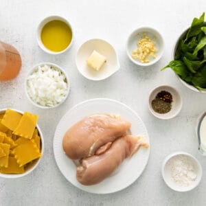 overhead view of ingredients for white chicken lasagna soup.