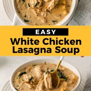 white chicken lasagna soup pinterest.
